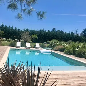 Bed & Breakfast La Maison Des Lonnes, Châteaurenard